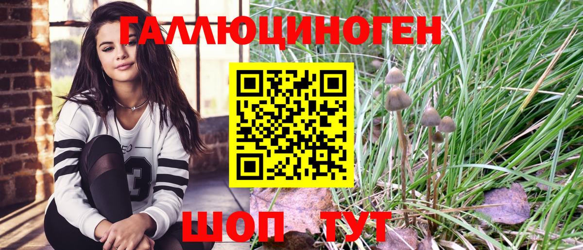 Псилоцибиновые грибы GOLDEN TEACHER Новороссийск